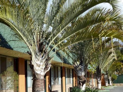 The Miners Rest Motel Kalgoorlie Exterior photo